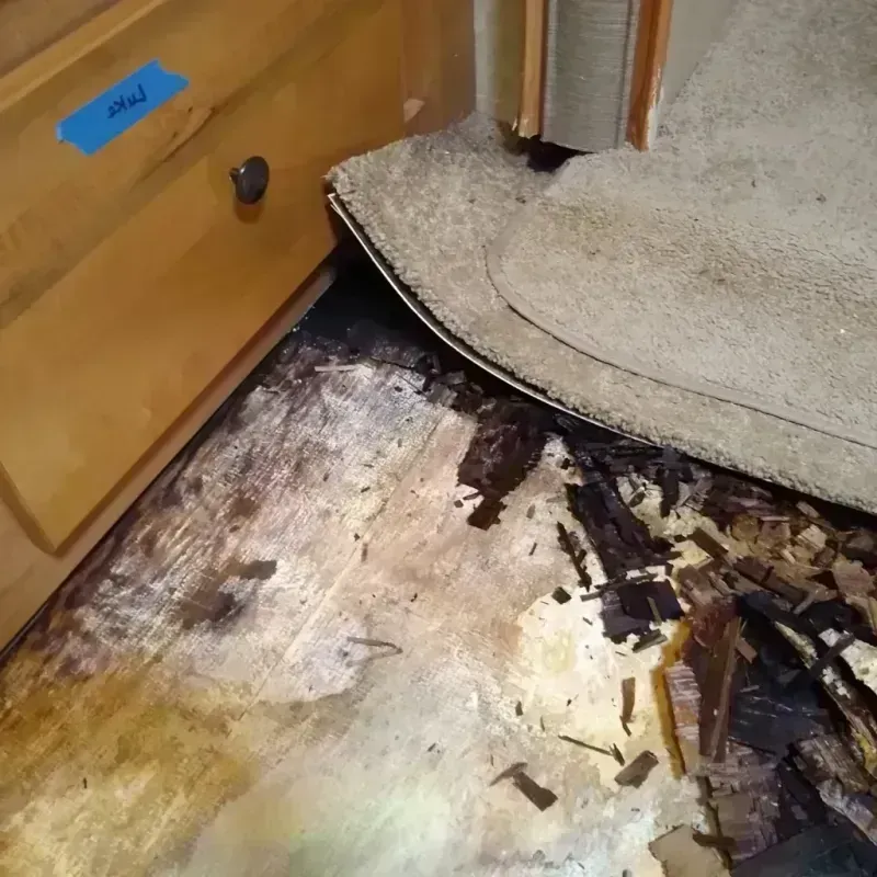 Best Wood Floor Water Damage Service in Beverly, TX